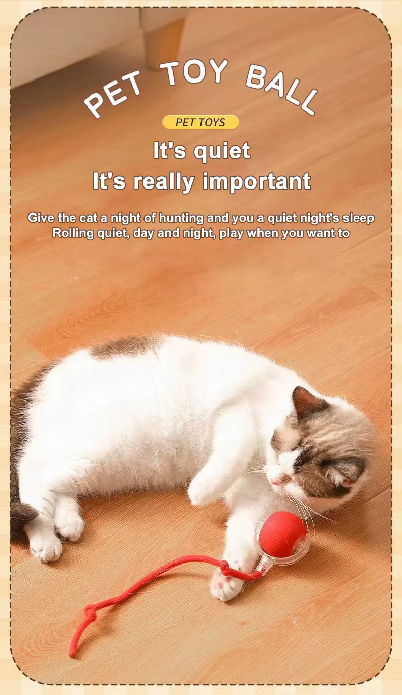 Pet Smart Ball Chasing Toy