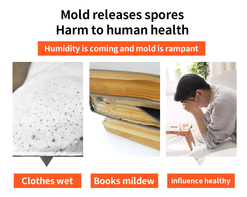 Closet Moisture Absorber