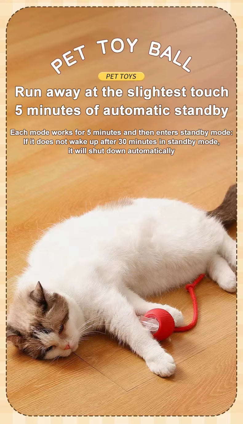 Pet Smart Ball Chasing Toy