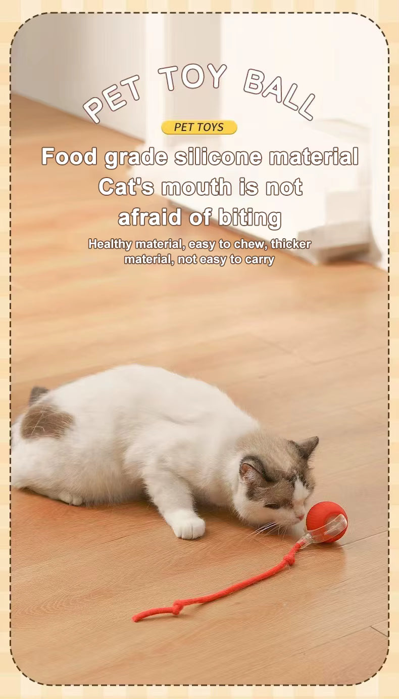 Pet Smart Ball Chasing Toy