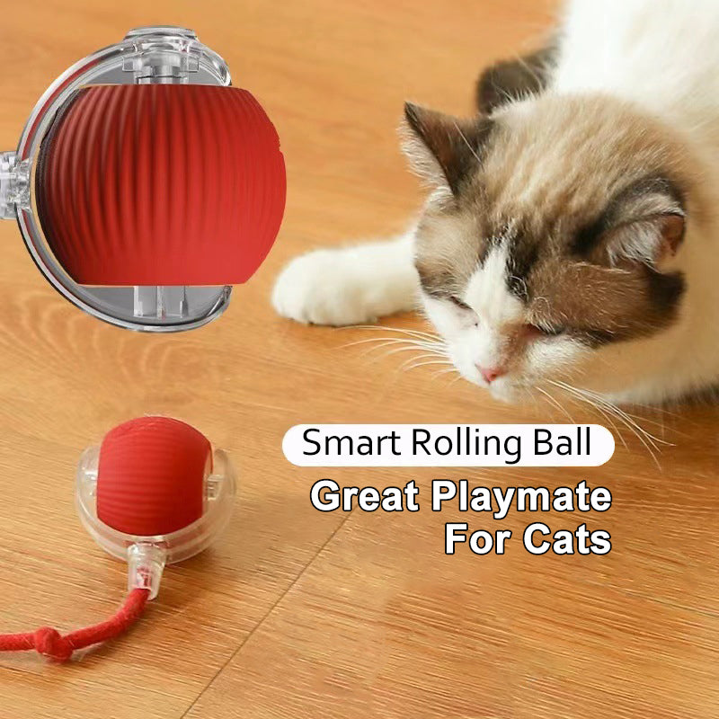 Pet Smart Ball Chasing Toy