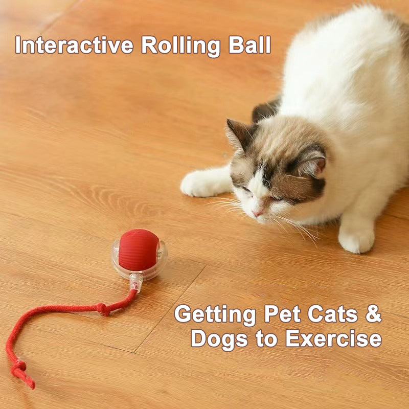 Pet Smart Ball Chasing Toy