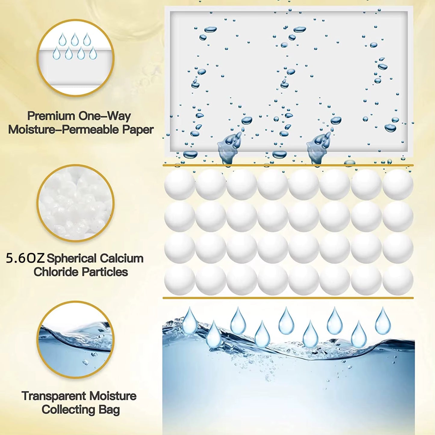 Closet Moisture Absorber