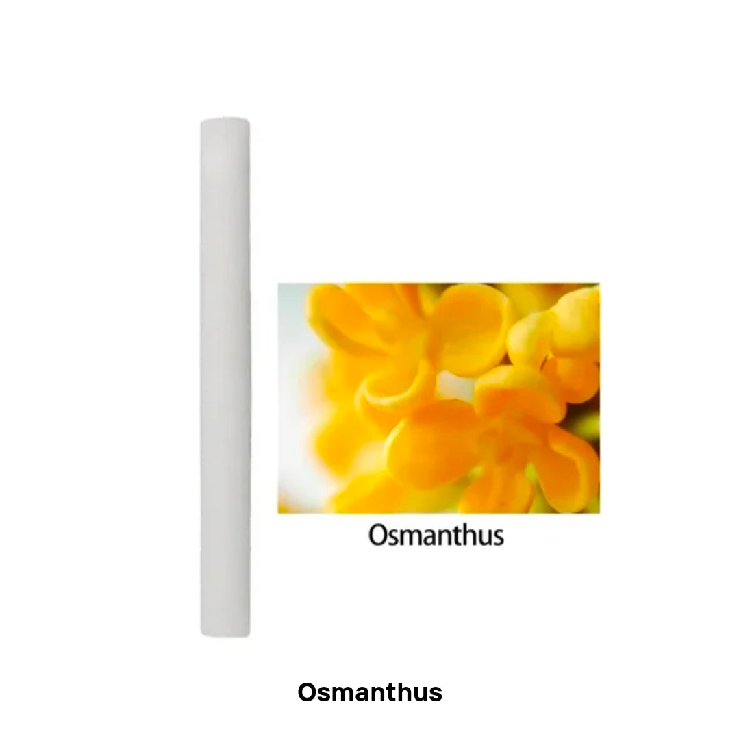 Scents for Car Diffuser